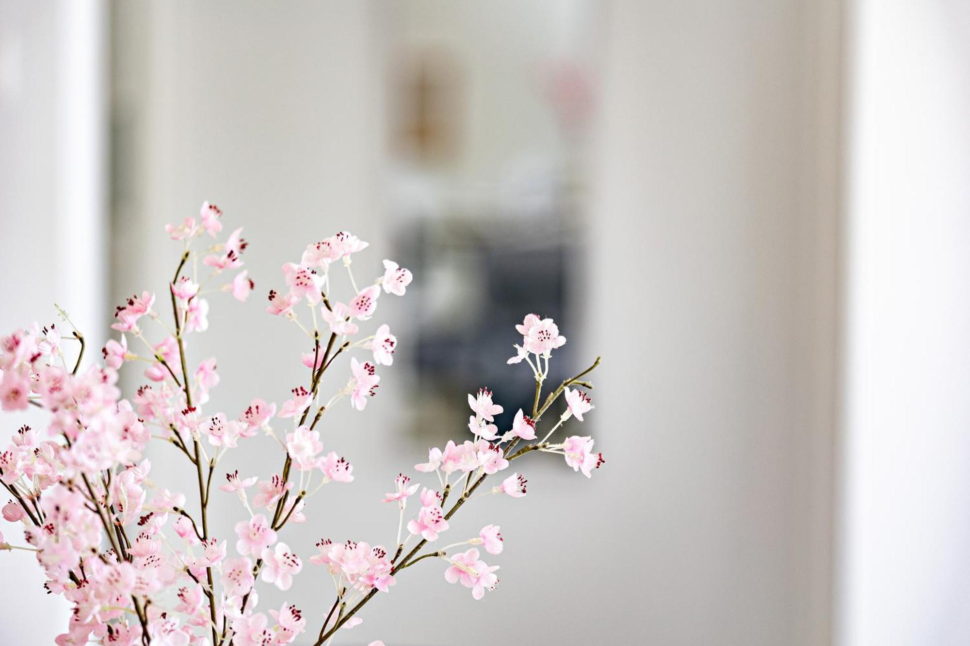 Villa Mery Beziers Ngoại thất bức ảnh